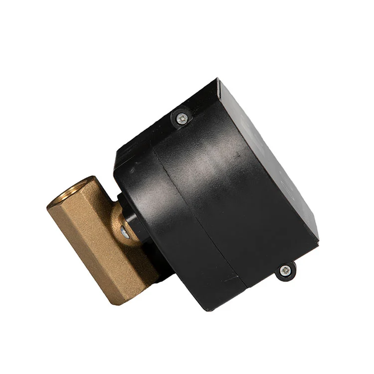 Shell da válvula de drenagem do medidor de água